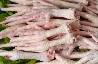 坏鸡爪子爆料视频下载,下载背后的真相与争议  第1张