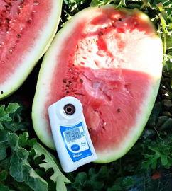 最新的瓜爆料的网红,网红新动态,揭秘背后惊人真相! 第2张 最新的瓜爆料的网红,网红新动态,揭秘背后惊人真相! 第2张